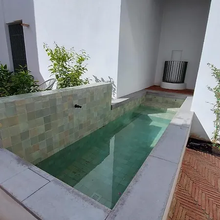 Patio Del Lino *