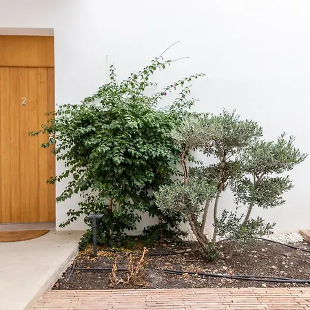 Apartamento Patio Del Lino Córdova