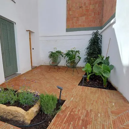 Patio Del Lino Apartment *