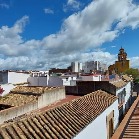 Patio Del Lino