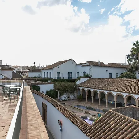 Patio Del Lino